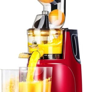 300W Slow Masticating Juice - Home & Kitchen | BuyersFeast