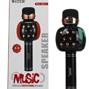 Portable Multi Function Wireless Microphone - Toys, Games & Babies | BuyersFeast